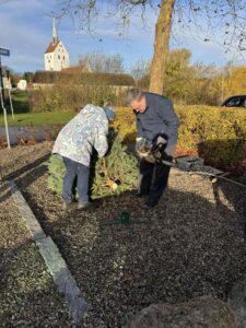 Opsætning af juletræ ved kirken