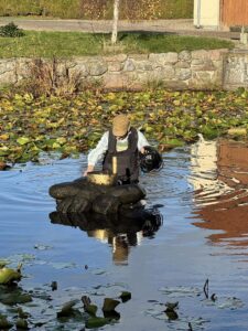 Opsætning af juletræer i Svindinge