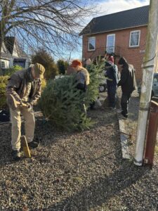 Opsætning af juletræer i Svindinge