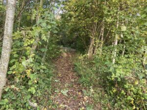 Arbejdsdag i byhaven