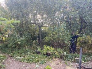 Fællesaktivitet - Arbejdsdag i byhaven