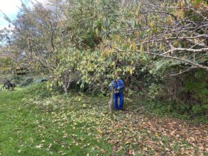 Fællesaktivitet - Arbejdsdag i byhaven