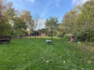 Fællesaktivitet - Arbejdsdag i byhaven